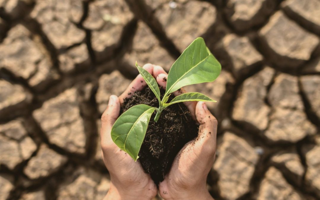 Risques Climatiques Émergents : Assurer un avenir incertain