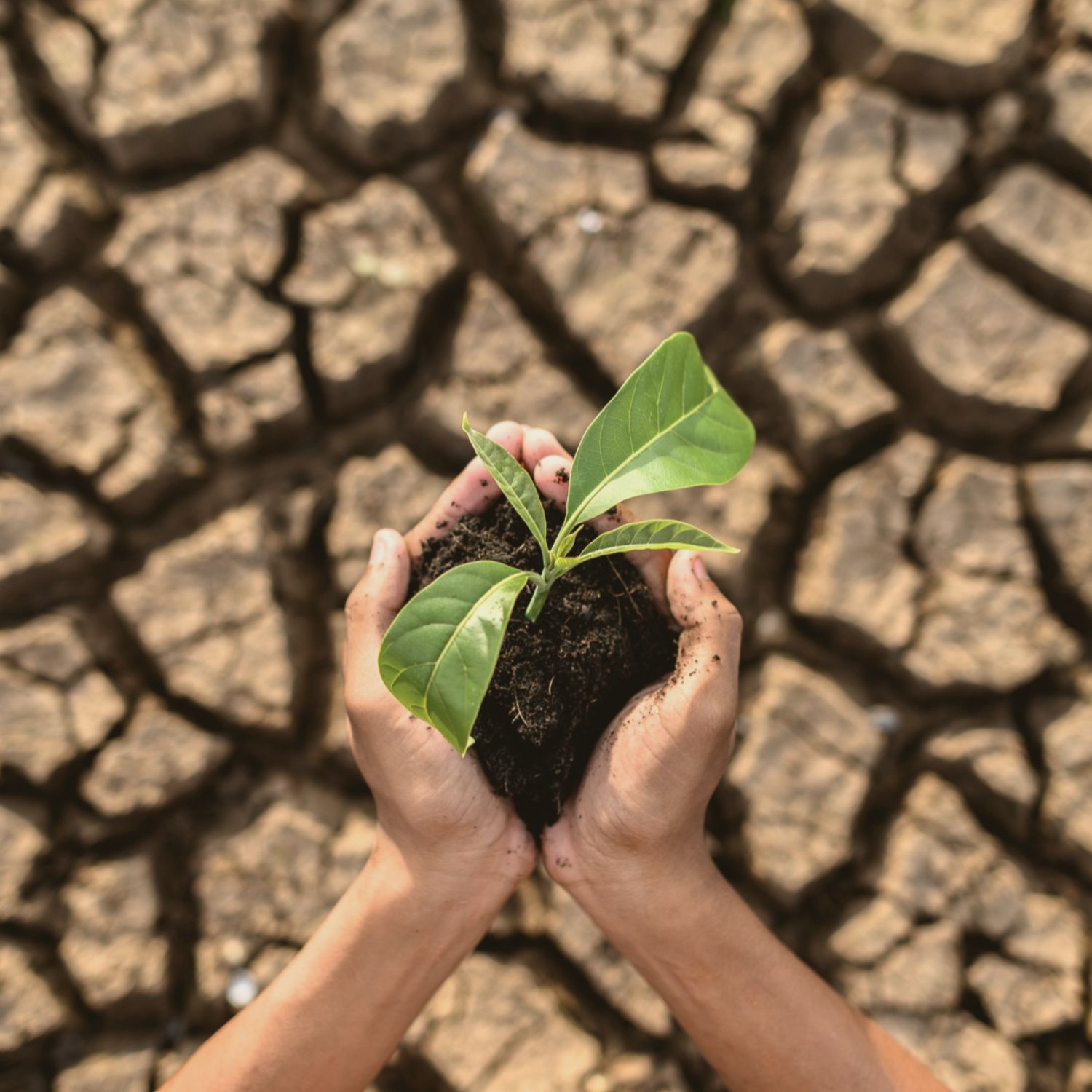 Risques Climatiques Émergents Assurer un avenir incertain